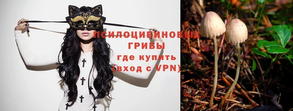 винт Покровск