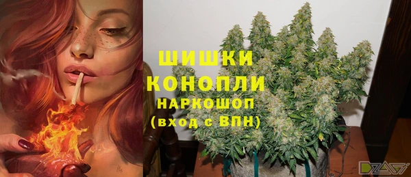 каннабис Покачи
