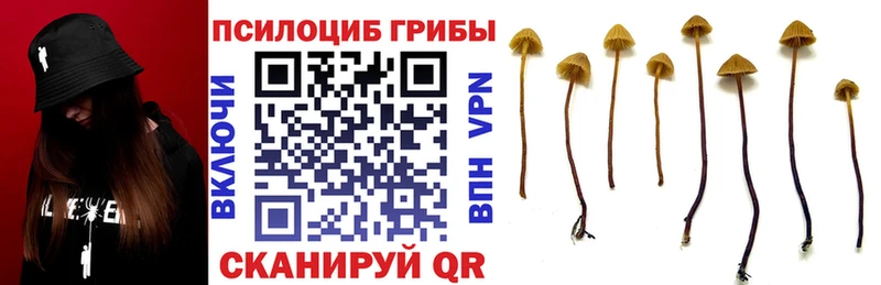 Псилоцибиновые грибы ЛСД  Киржач 