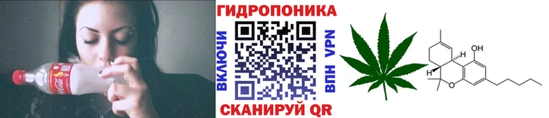 Марихуана Amnesia  Киржач 